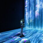 Local High School Robotics Team Wins Regional Championship, Heads to Nationals