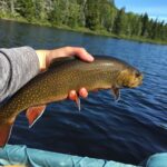 NH Fish and Game Stocks Trout Statewide as Fishing Season Approaches